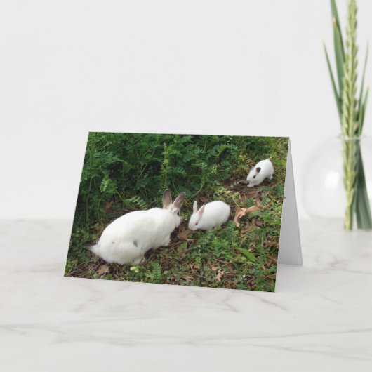 ホップの豊富な母の日 カード (正面)