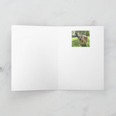 ホップの豊富な誕生日のおもしろいのカンガルーのオーストラリア動物の芸術 カード (内部)