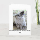 ホップの豊富な誕生日のバニー カード (裏面)