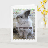 ホップの豊富な誕生日のバニー カード (黄色い花)