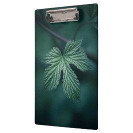 ホップフムルスリーフ自然写真 クリップボード