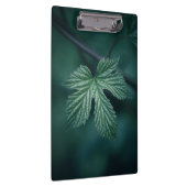 ホップフムルスリーフ自然写真 クリップボード (右)