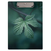 ホップフムルスリーフ自然写真 クリップボード (正面)