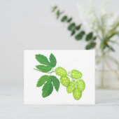 ホップフラワーポストカード ポストカード (スタンド正面)