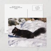 ホップ、スキップ、そしてジャンプ ポストカード (正面/裏面)