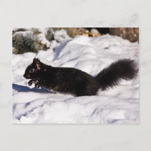 ホップ、スキップ、そしてジャンプ ポストカード (正面)