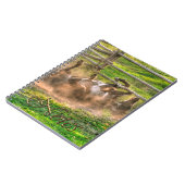 ホッ絵を描トに乗った馬のおもしろい写真ウマ科の ノートブック (左側)