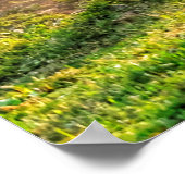 ホッ絵を描トに乗った馬のおもしろい写真ウマ科の ポスター (角)