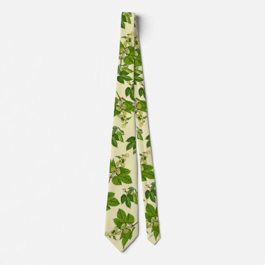 ホツプのタイ ネクタイ (正面)