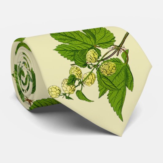 ホツプのタイ ネクタイ (ロール)