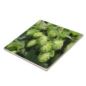 ホツプの芸術(ホツプの恋人のための野生ホツプ!)の写真のタイル タイル (側面)