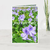 ホテイアオイ カード (正面)