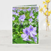 ホテイアオイ カード (黄色い花)