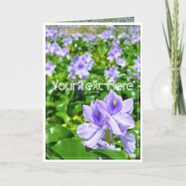 ホテイアオイ カード