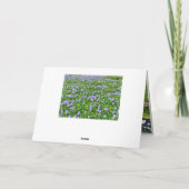 ホテイアオイ カード (裏面)