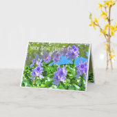 ホテイアオイ カード (黄色い花)