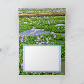 ホテイアオイ カード (内部)