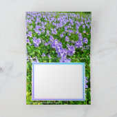 ホテイアオイ カード (内部)