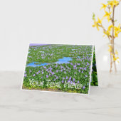 ホテイアオイ カード (黄色い花)