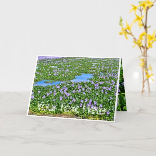 ホテイアオイ カード (黄色い花)