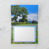 ホテイアオイ カード (内部)