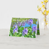 ホテイアオイ カード (黄色い花)