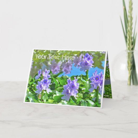 ホテイアオイ カード (正面)