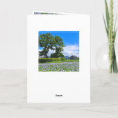 ホテイアオイ カード (裏面)