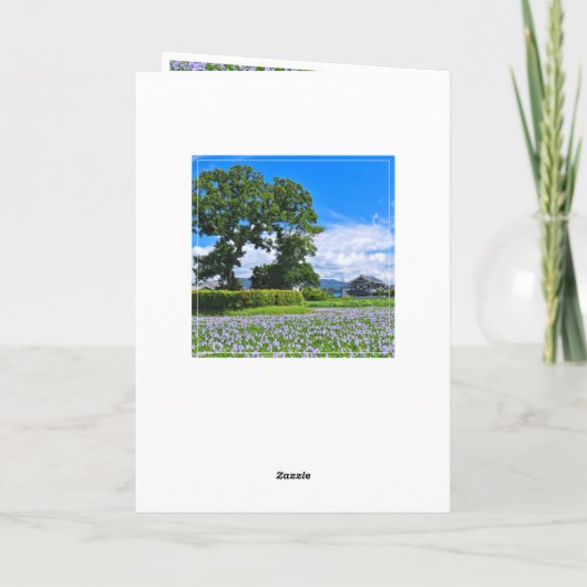 ホテイアオイ カード (裏面)