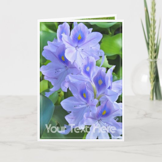 ホテイアオイ カード (正面)