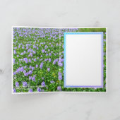 ホテイアオイ カード (内部)