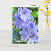 ホテイアオイ カード (黄色い花)