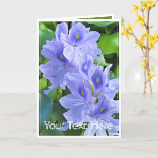 ホテイアオイ カード (黄色い花)