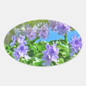 ホテイアオイ 楕円形シール (正面)