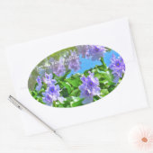 ホテイアオイ 楕円形シール (封筒)