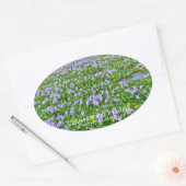 ホテイアオイ 楕円形シール (封筒)