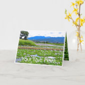 ホテイアオイ（花） カード (黄色い花)