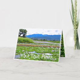 ホテイアオイ（花） カード