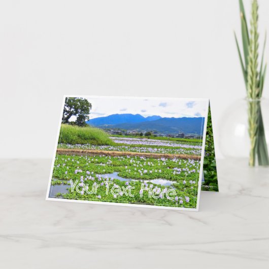 ホテイアオイ（花） カード (正面)