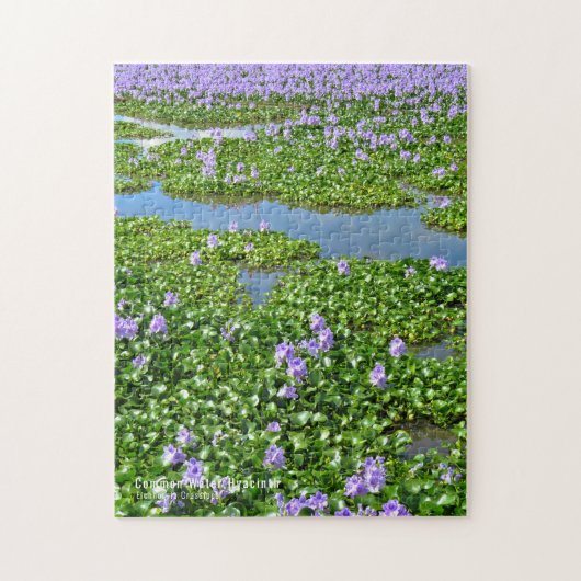 ホテイアオイ(花) ジグソーパズル (縦)