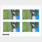 ホテイアオイ 長方形シール (シート)