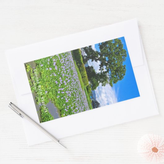 ホテイアオイ 長方形シール (封筒)