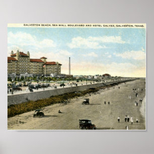 ホテルガルベス、Galvestonのテキサス州の1924年のヴィンテージ ポスター