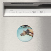 ホヌバイマリリン衣服 マグネット (インサイチュ (食洗機))