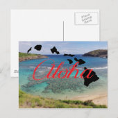 ホノルルハワイ花馬湾 ポストカード (正面/裏面)