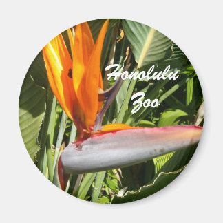 ホノルル動物園，パラダイスの鳥 マグネット