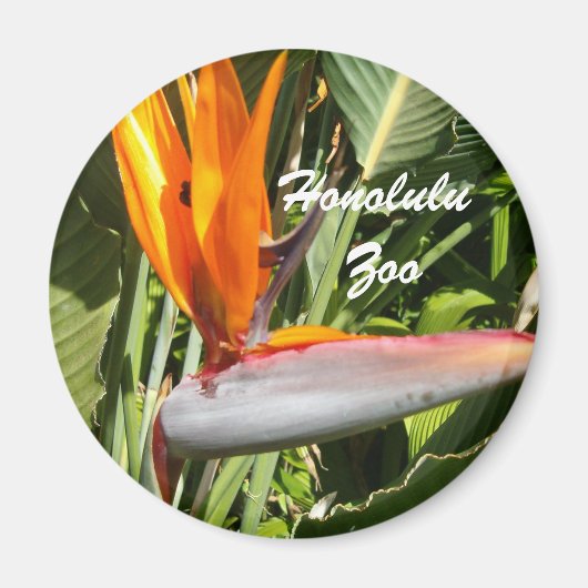 ホノルル動物園,パラダイスの鳥 マグネット (正面)