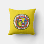 ホノルル国旗(ハワイ) クッション (裏面)