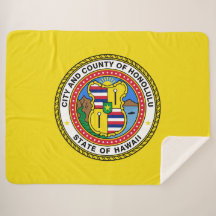 ホノルル国旗（ハワイ）