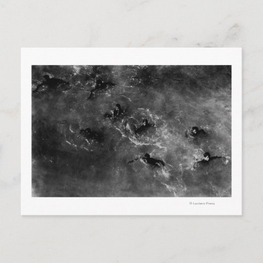 ホノルル港に近いダイビングボーイズ ポストカード (正面)